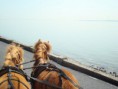 /album/menrit-05-06-2010/a017-jpg/