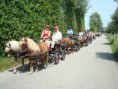 /album/menrit-05-06-2010/a022-jpg/