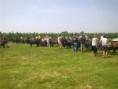 /album/menrit-05-06-2010/afb0018-jpg/