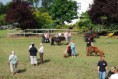 /album/menrit-05-06-2010/dsc-8275-jpg/