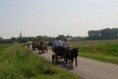 /album/menrit-05-06-2010/dsc-8284-jpg/