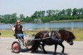 /album/menrit-05-06-2010/dsc-8419-jpg/