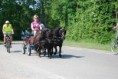 /album/menrit-05-06-2010/dsc-8486-jpg/
